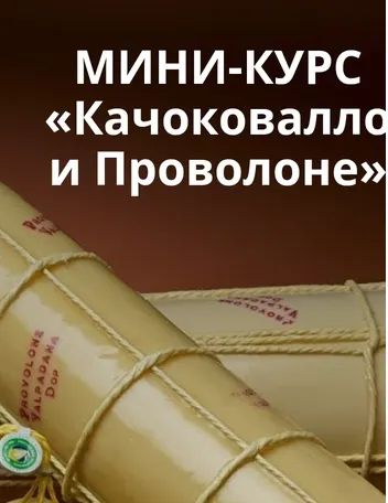 Скачать курс «Сыр Качоковалло и Проволоне (Ольга Лазарева)» — слив курса