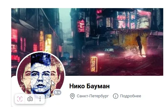 Скачать курс «Самопрограммирование (Нико Бауман)» — слив курса