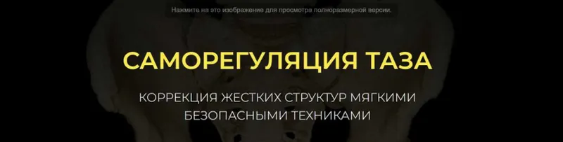 Обложка курса «Саморегуляция таза (Иван Борисенко)»