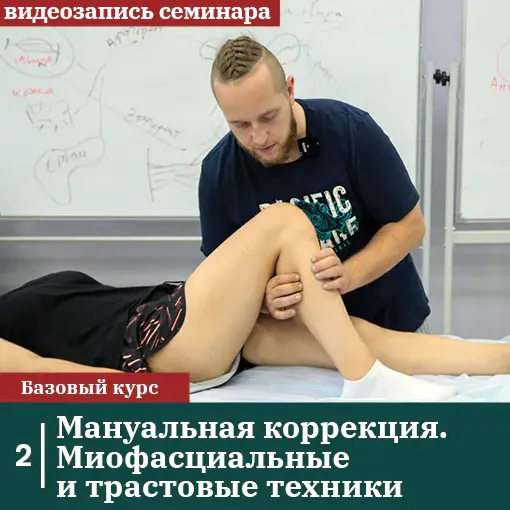 Скачать курс «[Сандал] Мануальная коррекция. Миофасциальные и трастовые техники (Михаил Белюк, Егор Заславский)» — слив курса