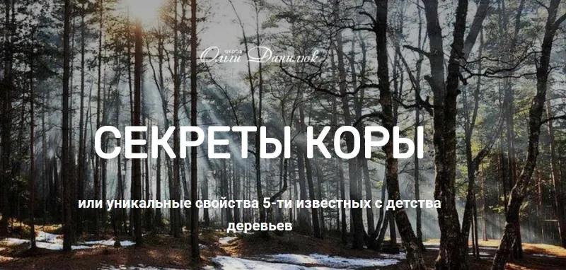 Скачать курс «[Школа траволечения доктора Ольги Данилюк] Секреты коры (Ольга Данилюк)» — слив курса