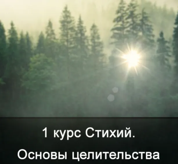 Скачать курс «[Школа Меньшиковой] 1 курс Стихий. Основы Целительства (Ксения Меньшикова)» — слив курса