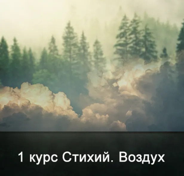 Скачать курс «[Школа Меньшиковой] 1 курс Стихий. Воздух (Ксения Меньшикова)» — слив курса