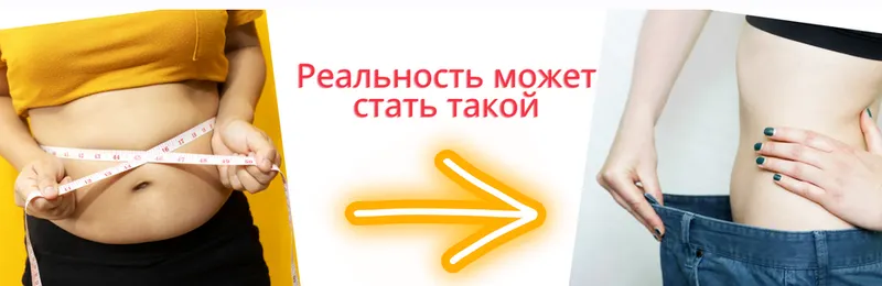 Обложка курса «[ShtDY] Жиротоп 2.0 - для тех, кто За...»