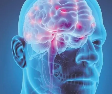 Скачать курс «[Sigh Energy] Мощная регенерация мозга - Brain Regeneration Powerful Plus +11x Extra Strong» — слив курса