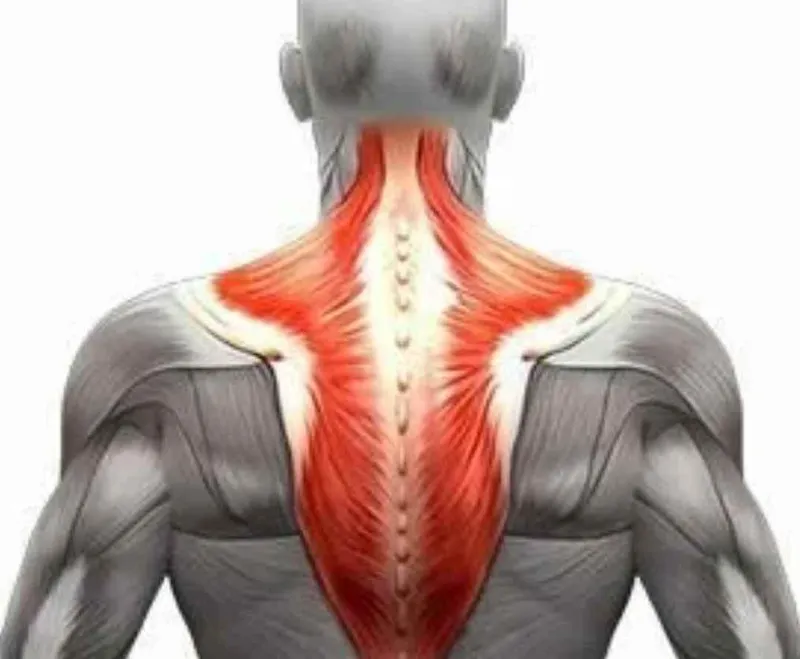Обложка курса «[Sigh Energy] Neck Workout Powerful Plus +11x (Extra Strong) Тренировка шеи без упражнений»