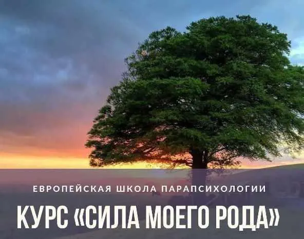 Скачать курс «Сила моего Рода (Иван Владимирский)» — слив курса
