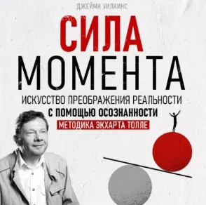 Скачать курс «Сила момента. Аудиокнига (Джейми Уилкинс)» — слив курса