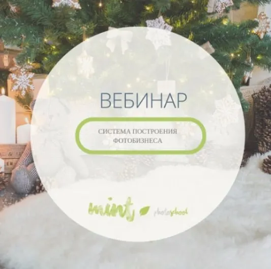 Скачать курс «Система построения фотобизнеса (Lena Mint)» — слив курса