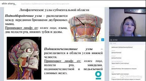 Скачать курс «[Skin Story] Анатомия и особенности старения шеи и зоны декольте (Ирина Капустяна)» — слив курса
