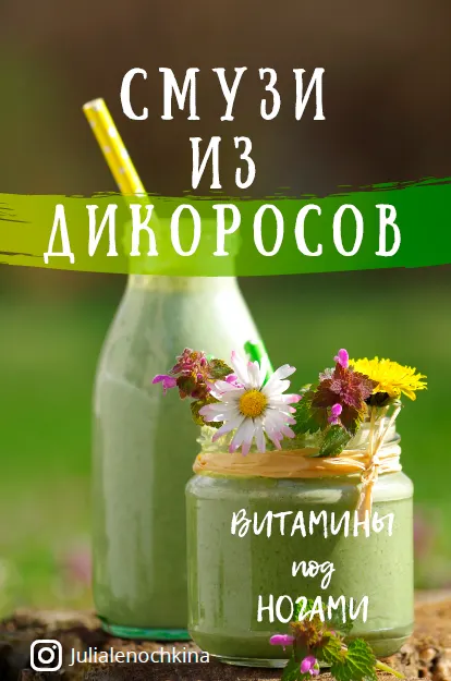 Скачать курс «Смузи из дикоросов: витамины под ногами (Юлия Леночкина)» — слив курса