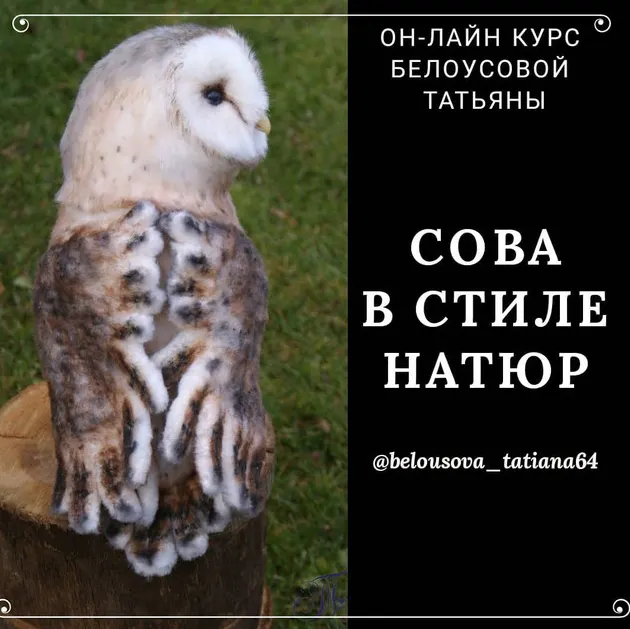 Скачать курс «Сова в стиле натюр (Белоусова Татьяна)» — слив курса