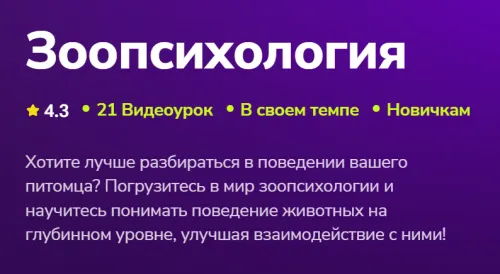 Скачать курс «[TutorPlace] Зоопсихология 2026 (Мирослав Волков)» — слив курса