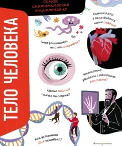 Скачать курс «Тело человека. Самая анатомическая энциклопедия (Анна Романо)» — слив курса