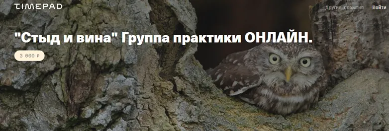 Скачать курс «[Timepad] Стыд и вина. Группа практики онлайн (Елена Веселаго)» — слив курса