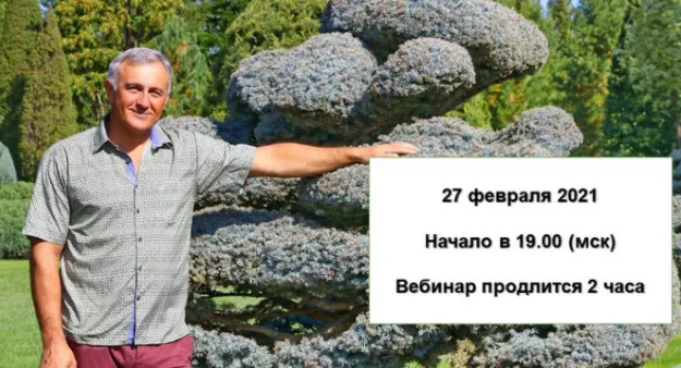 Скачать курс «Топиарное искусство (Владимир Ляпчев)» — слив курса