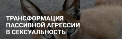 Скачать курс «Трансформация пассивной агрессии в сексуальность. Без обратной связи (Альбина Роготовская)» — слив курса