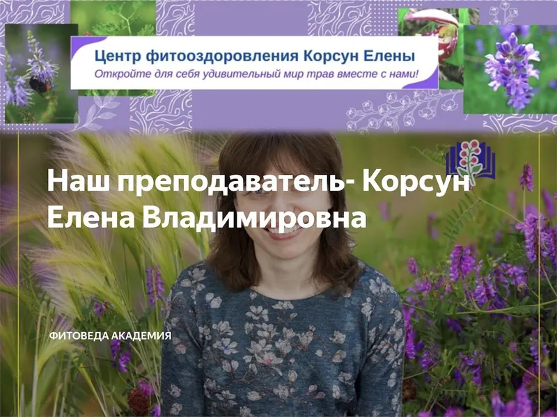 Скачать курс «Травы для иммунитета (Елена Корсун)» — слив курса