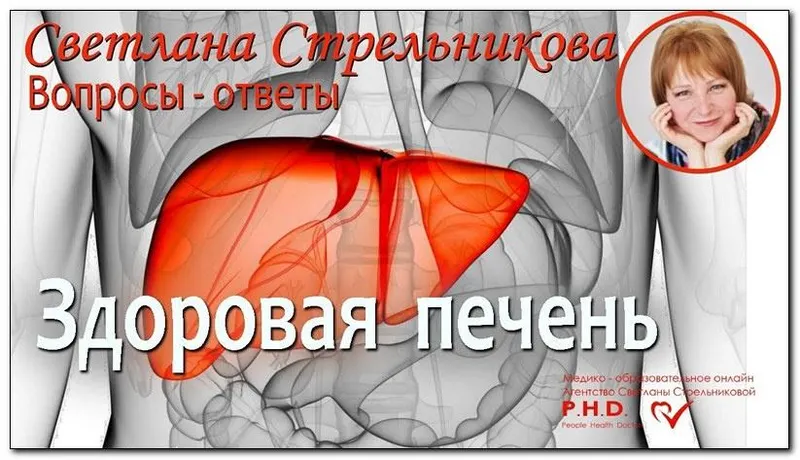 Скачать курс «Тренинг Здоровая печень 2.0. Тариф VIP (Светлана Стрельникова)» — слив курса
