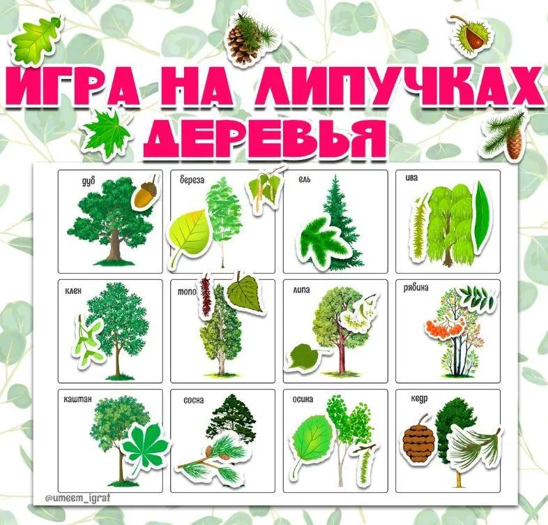 Скачать курс «[umeem_igrat] Игра на липучках. Деревья (Алсу Хаметова)» — слив курса