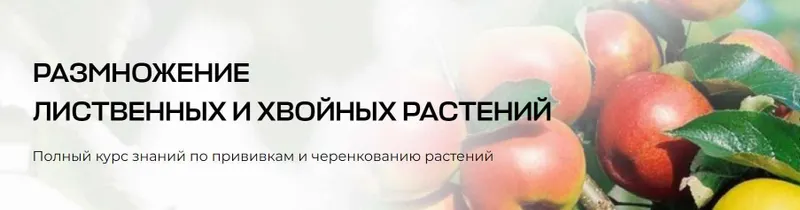 Скачать курс «[Умный садовник] Размножение лиственных и хвойных растений (Владимир Задоркин)» — слив курса