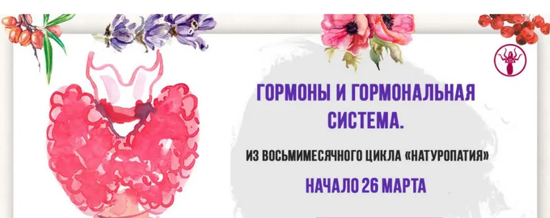 Обложка курса «[urbanqueen] Здоровая гормональная система 2018 (Михаил Советов, Наташа Сведовая)»