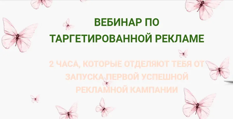 Скачать курс «Вебинар по таргетированной рекламе. (Наталия Франсис)» — слив курса