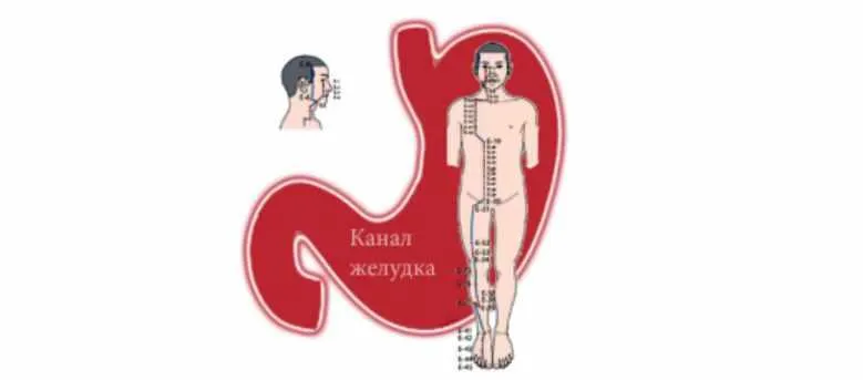 Скачать курс «[Vedapuls] Канал Желудка, диагностика и методы воздействия (Сергей Косинцев)» — слив курса
