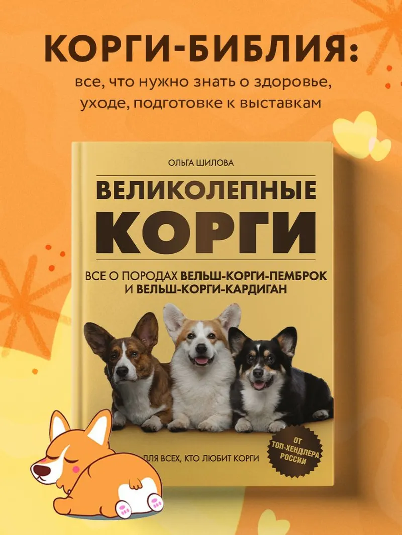 Скачать курс «Великолепные корги. Все о породах вельш-корги-пемброк и вельш-корги-кардиган (Ольга Шилова)» — слив курса