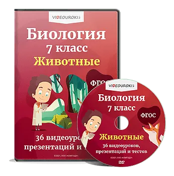 Скачать курс «[Videouroki] Комплект материалов по биологии для 7 класса (ФГОС) (Дмитрий Тарасов)» — слив курса