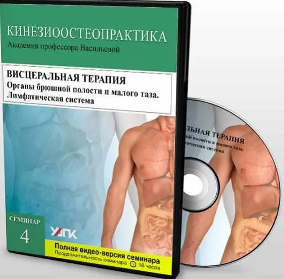 Скачать курс «Висцеральная терапия. Органы брюшной полости и малого таза. Лимфатическая система. Семинар 4 (Вячеслав Пичугин)» — слив курса