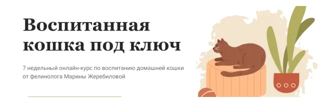 Скачать курс «Воспитанная кошка под ключ. Тариф Самостоятельный (Марина Жеребилова)» — слив курса