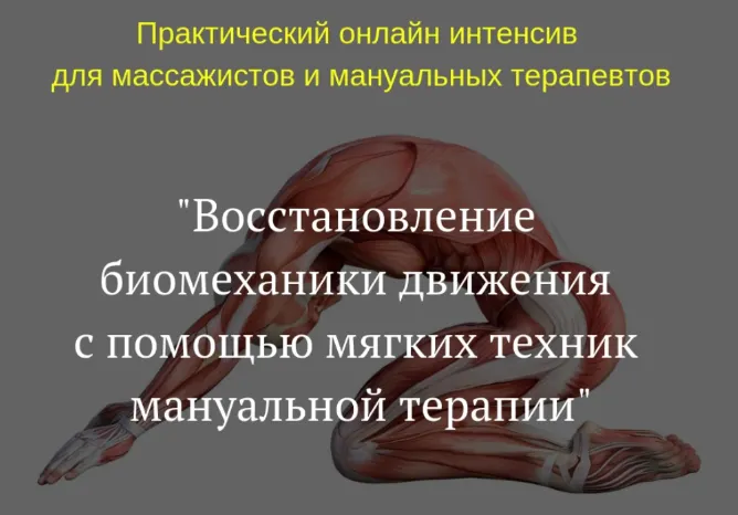 Скачать курс «Восстановление биомеханики движения с помощью мягких техник мануальной терапии (Игорь Атрощенко)» — слив курса
