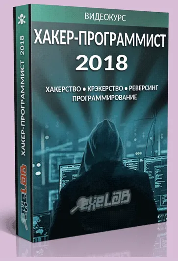 Скачать курс «Хакер- Программист 2018 [exelab]» — слив курса