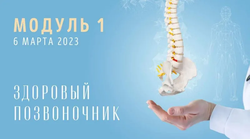 Скачать курс «[Yulia.Stretch] Спина: Модуль 1. Здоровый позвоночник (Юлия Грошева)» — слив курса
