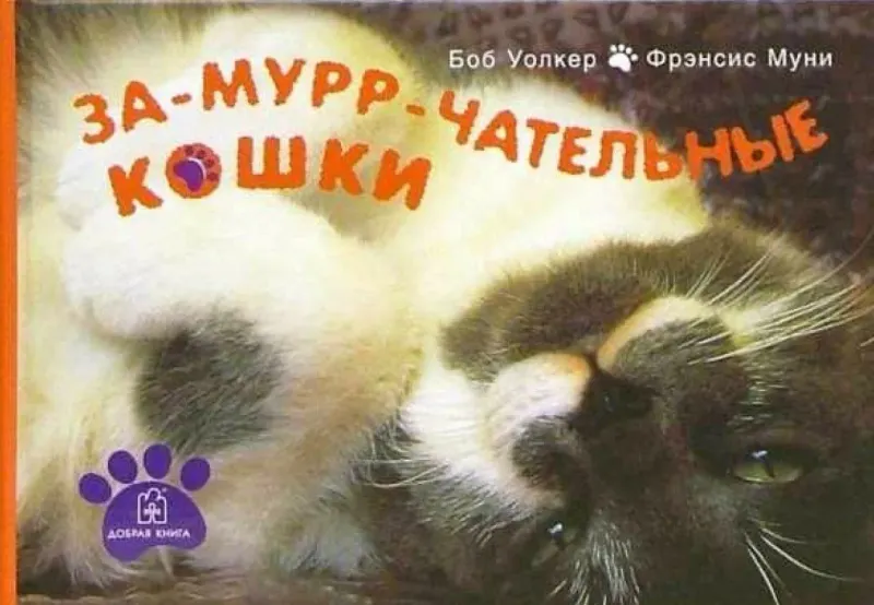 Скачать курс «За-мурр-чательные кошки (Боб Уолкер, Фрэнсис Муни)» — слив курса