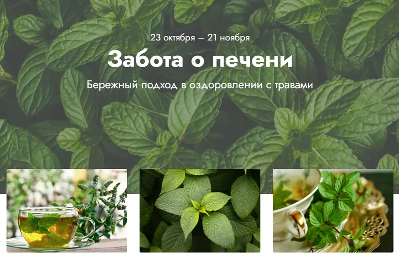 Скачать курс «Забота о печени. Тариф Эффективный (Светлана Калмыкова)» — слив курса