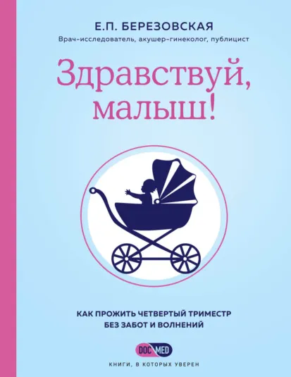Скачать курс «Здравствуй, малыш! Как прожить четвертый триместр без забот и волнений (Елена Березовская)» — слив курса