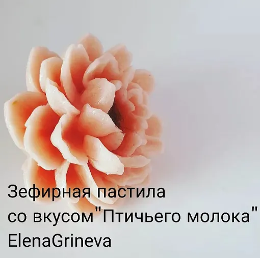 Скачать курс «Зефир в молдах. Яблочная пастила со вкусом Птичьего молока (Елена Гринева)» — слив курса