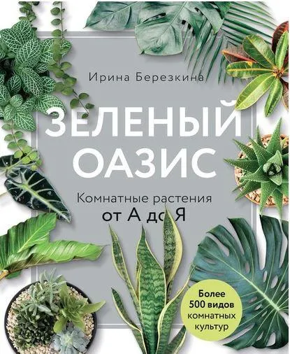 Скачать курс «Зеленый оазис. Комнатные растения от А до Я (Ирина Берёзкина)» — слив курса