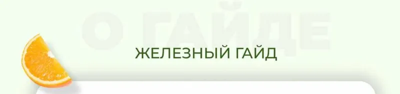 Обложка курса «Железный гайд (Софья Литошенко)»