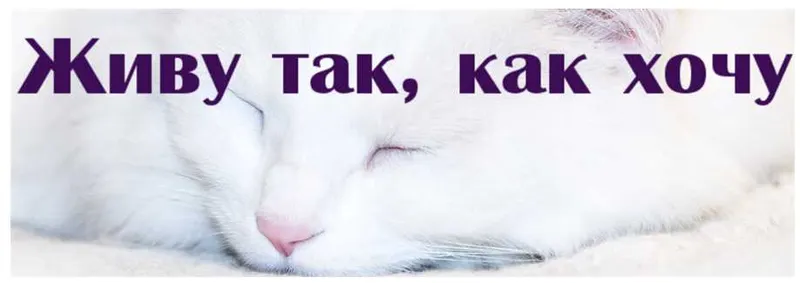 Скачать курс «Живу так, как хочу (Надежда Семененко)» — слив курса