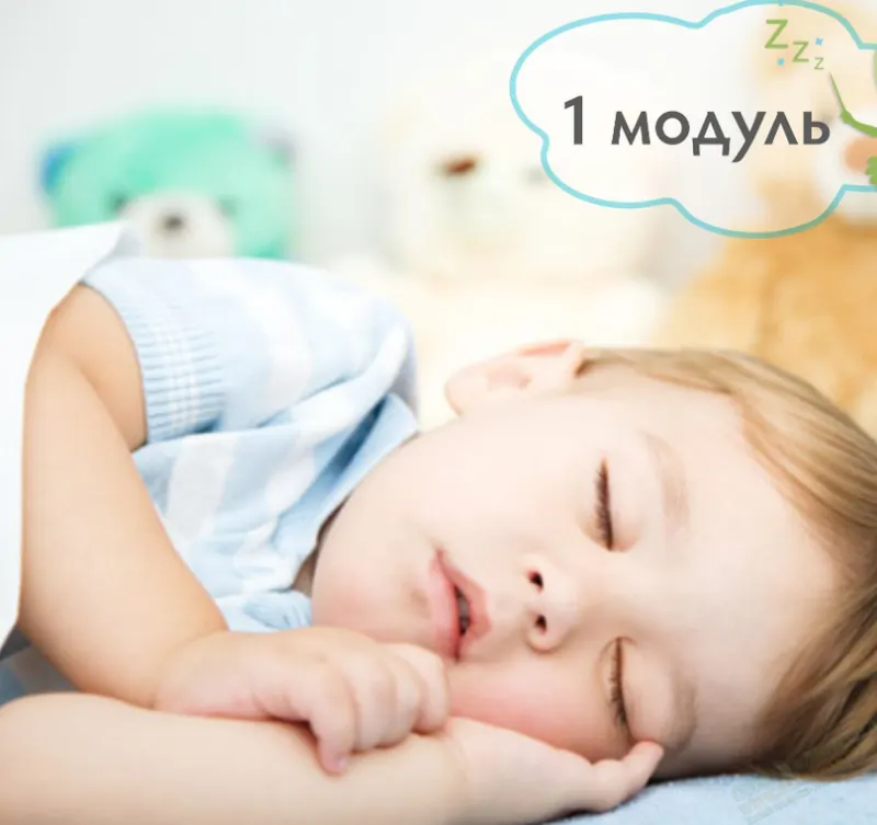 Скачать курс «1–3 года - все, что вы хотели узнать про сон ребенка (2019) 1 модуль [BabySleep]» — слив курса