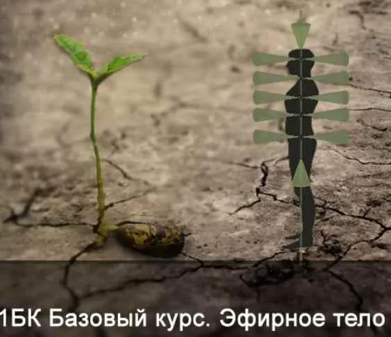 Скачать курс «1БК Базовый курс. Эфирное тело. (без матрицы и книги) (Ксения Меньшикова)» — слив курса