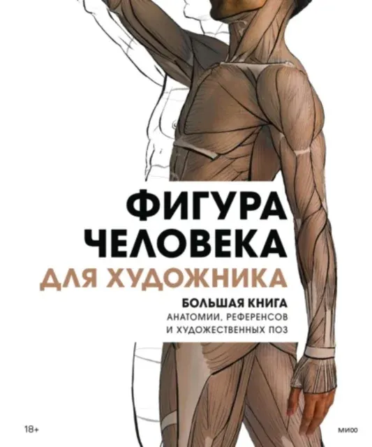 Скачать курс «[3dtotal Publishing] Фигура человека для художника. Большая книга анатомии, референсов и поз» — слив курса