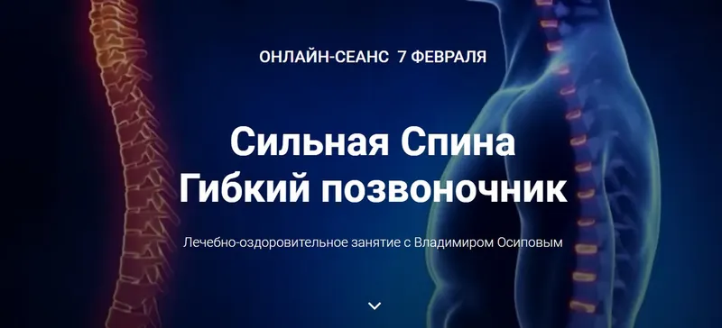 Скачать курс «Сильная спина. Гибкий позвоночник (Владимир Осипов)» — слив курса