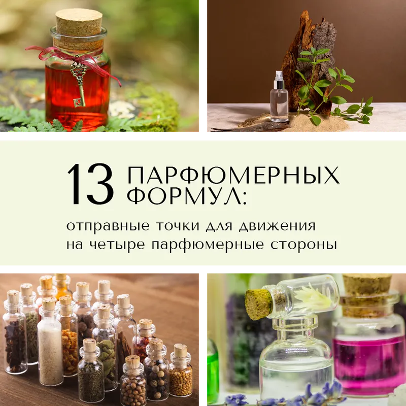 Скачать курс «13 парфюмерных формул (Анна Зворыкина)» — слив курса