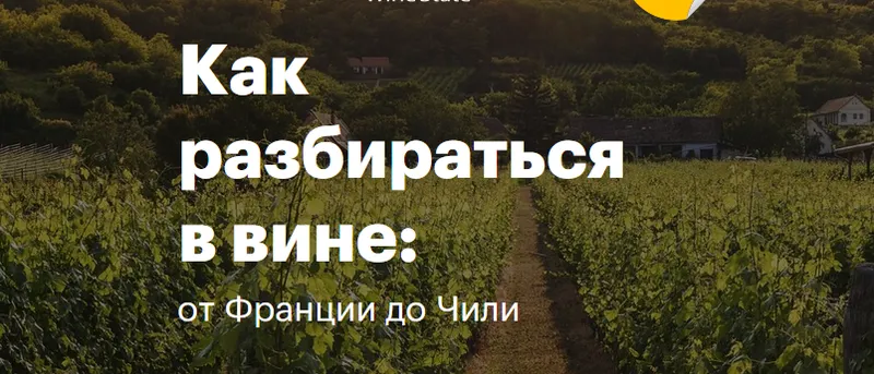 Скачать курс «[Level One] Как разбираться в вине: от Франции до Чили (Николай Дедин)» — слив курса