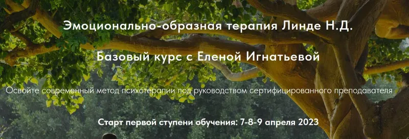 Скачать курс «Базовый курс эмоционально-образной терапии. Ступень 1: Теория, приемы и методы эмоционально-образной терапии (Елена Игнатьева)» — слив курса