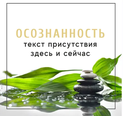 Скачать курс «Осознанность (Леонид Каюм)» — слив курса